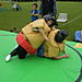 15_juin_2008_023