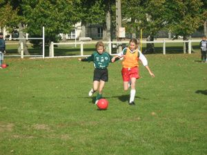 IMG_1981