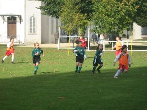 IMG_1948