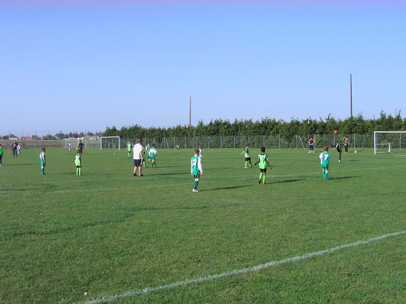 Foot 006
