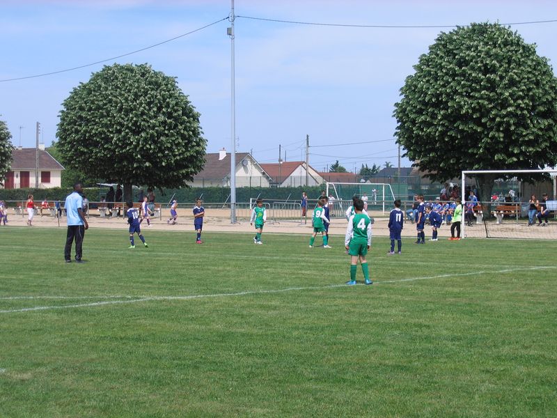 Foot 014