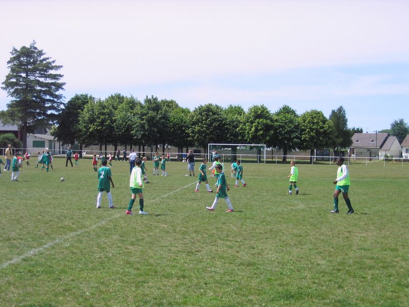 Foot 006