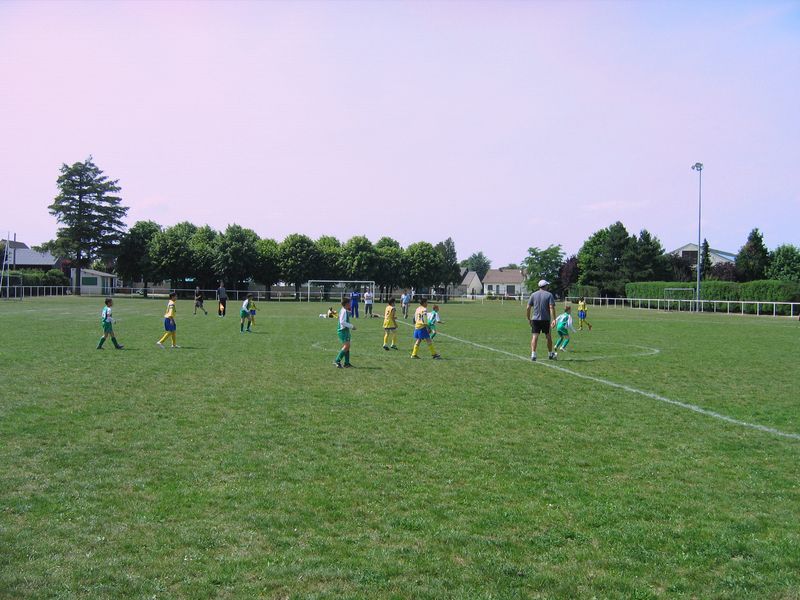 Foot 006
