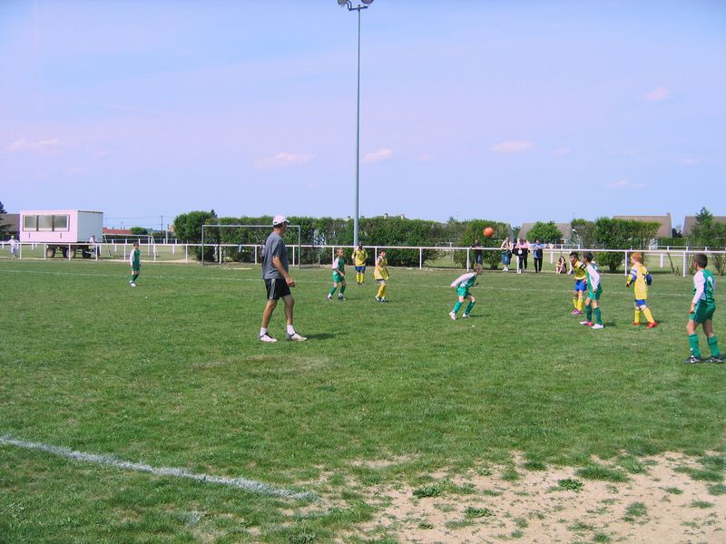Foot 008