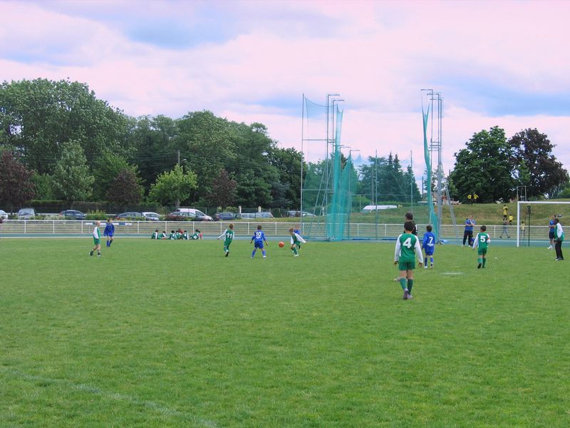 Foot 010