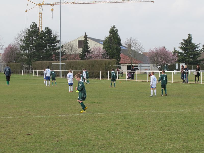 Foot 004