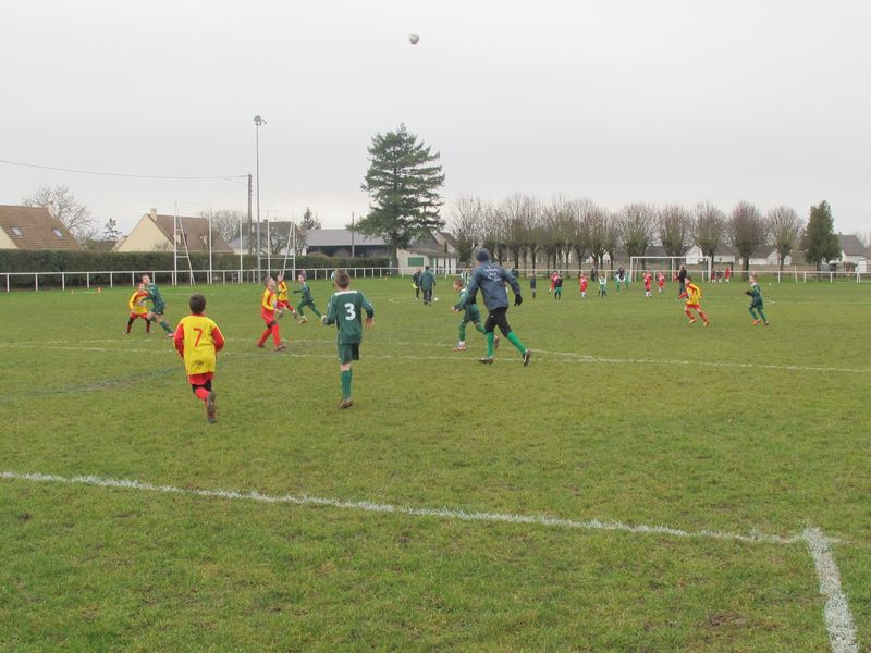 Foot 017
