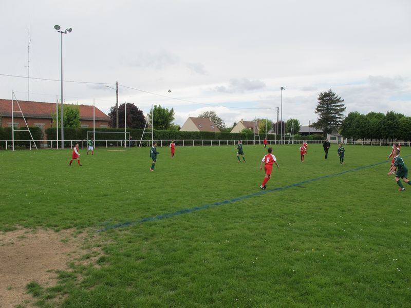 Foot 008