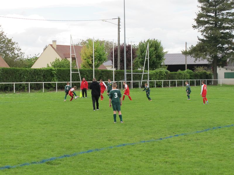 Foot 010