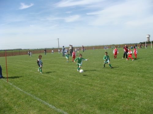 Dsc00138