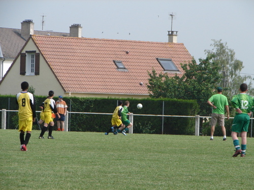 Dsc01943