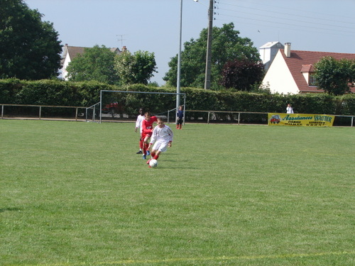Dsc01954