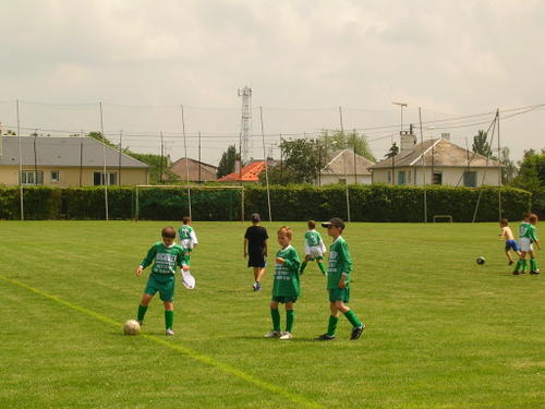 Dscn3501
