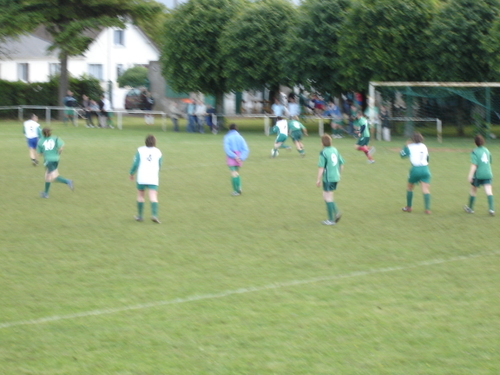Dsc00695